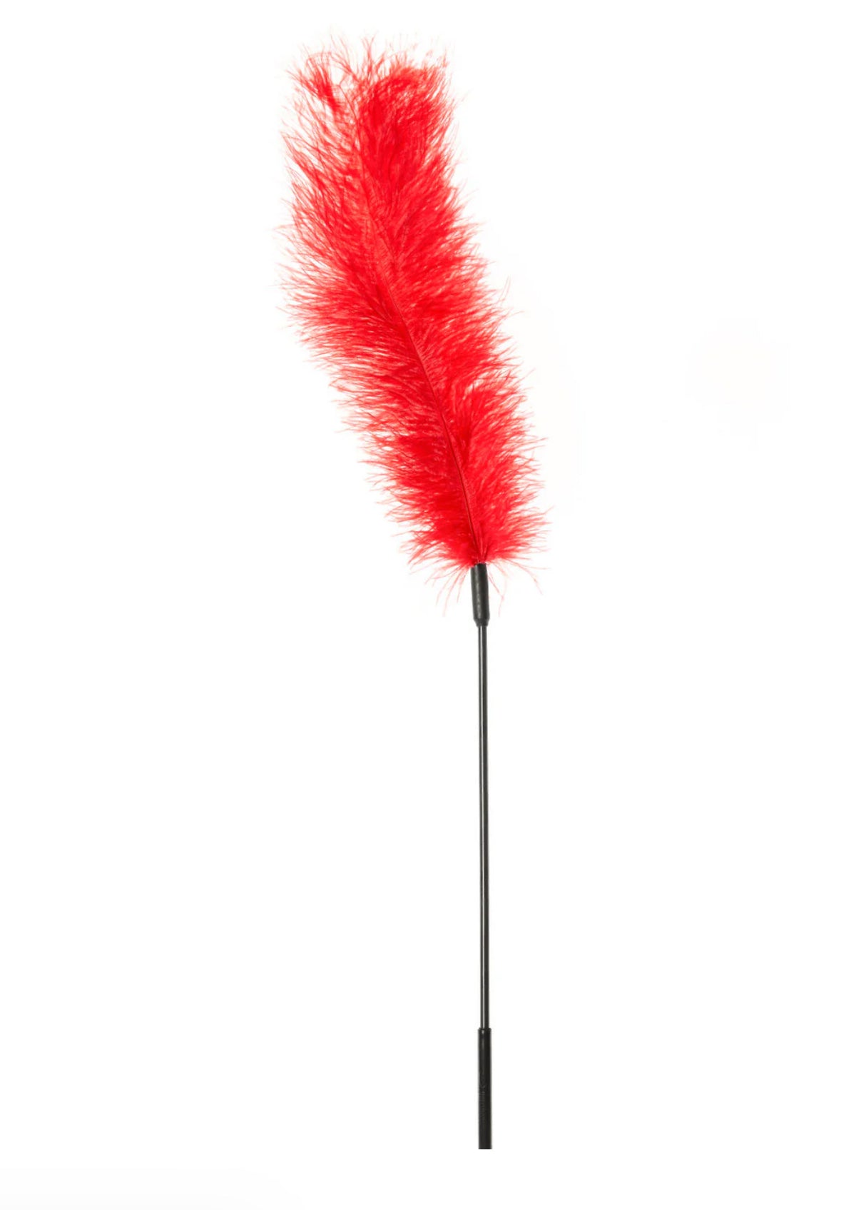 Sportsheets Red Ostrich Feather