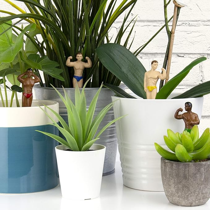 Mini Plant Pot Hunks