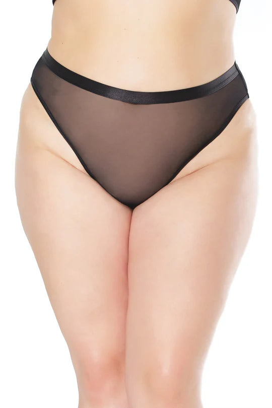 Coquette Mesh Crotchless Panty Queen Size