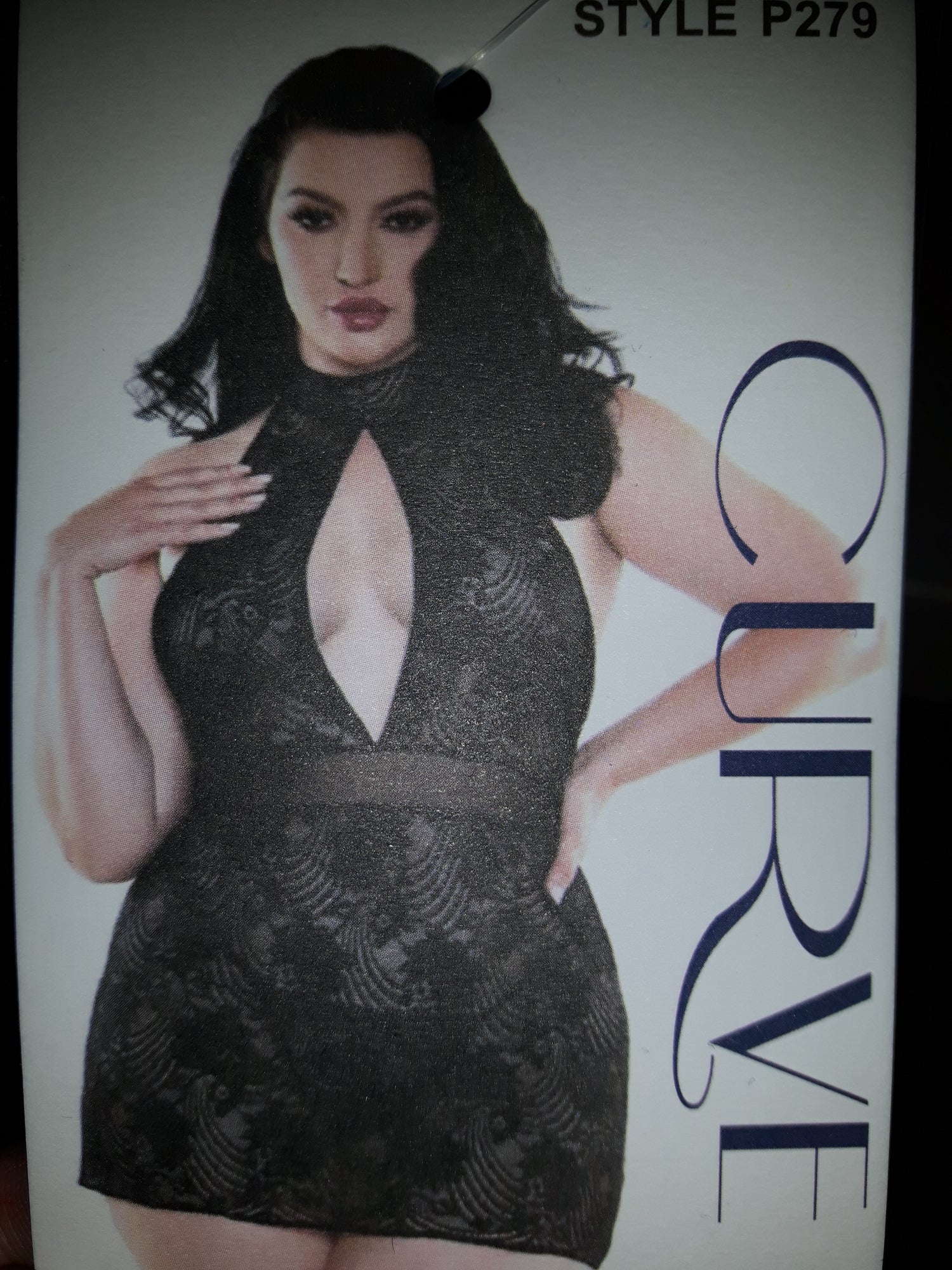 Salina Lace Dress and G String in Black 1X/2X