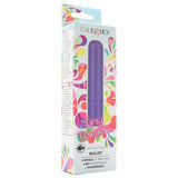 Calexotics Tiny Teasers Purple Bullet