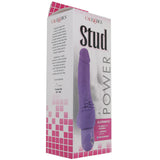 Calexotics Stud Power Purple