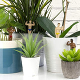 Mini Plant Pot Hunks